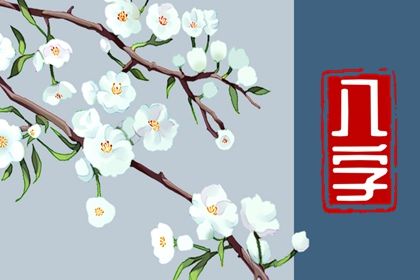 藏干与地支藏气